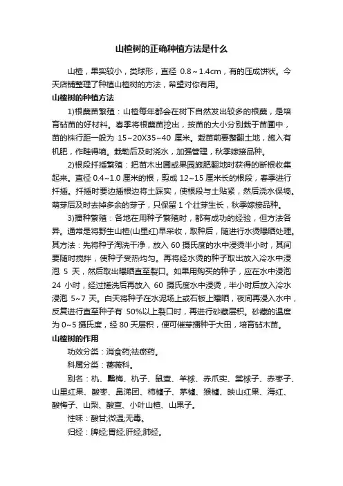 山楂树的正确种植方法是什么