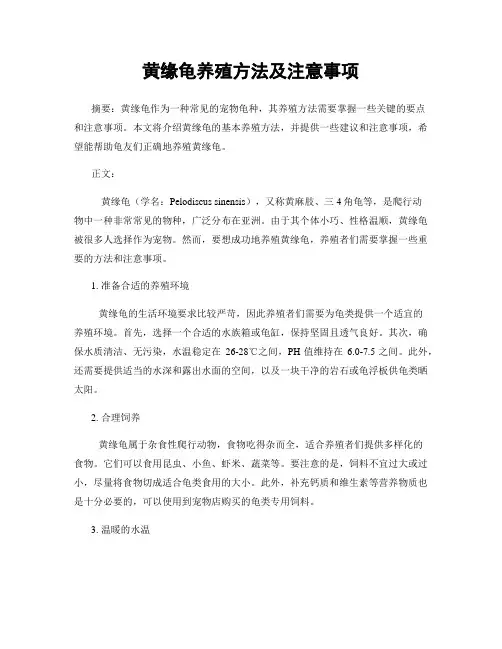 黄缘龟养殖方法及注意事项