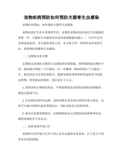 宠物疾病预防如何预防犬猫寄生虫感染
