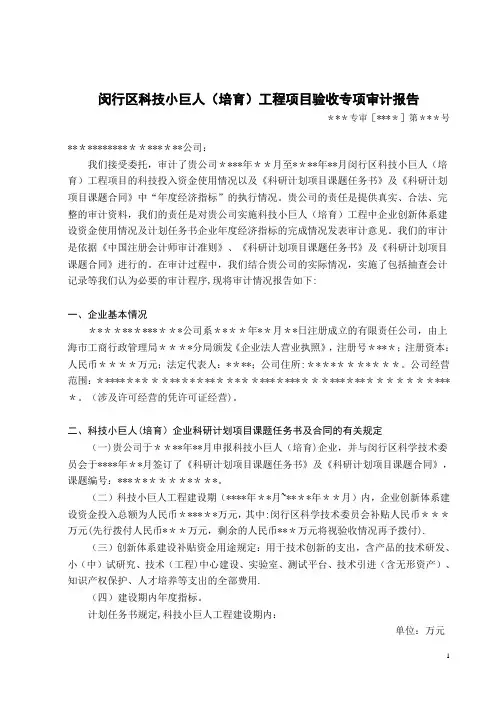科技小巨人工程项目验收规范
