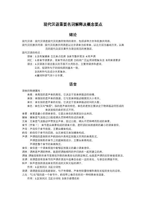 现代汉语重要名词解释及概念要点