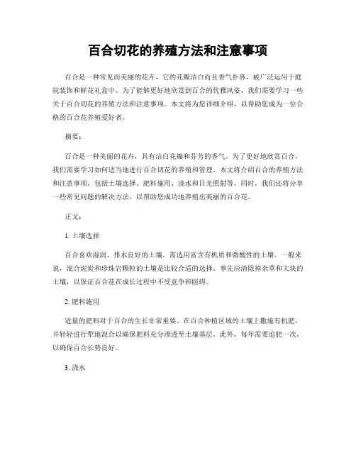 百合切花的养殖方法和注意事项