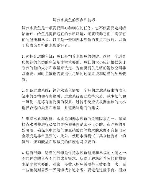 饲养水族鱼的要点和技巧