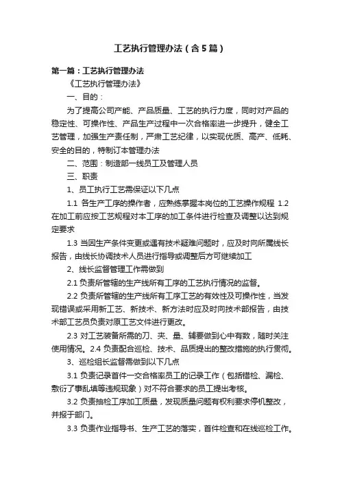 工艺执行管理办法（含5篇）