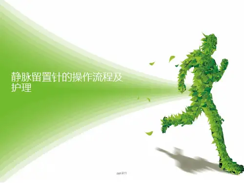 静脉留置针的操作流程及护理  ppt课件