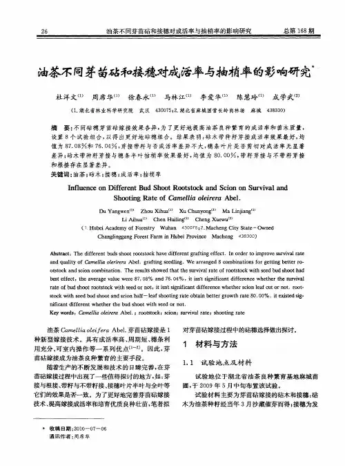 油茶不同芽苗砧和接穗对成活率与抽梢率的影响研究