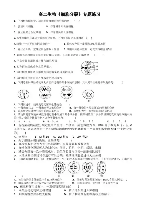 高二生物《细胞分裂》专题训练