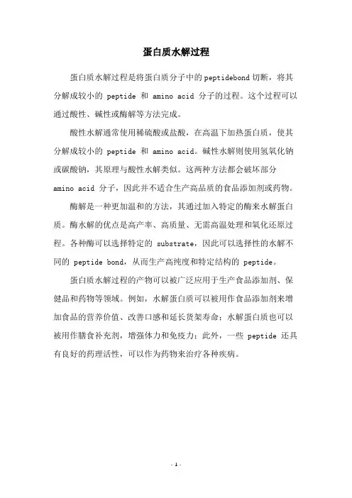 蛋白质水解过程