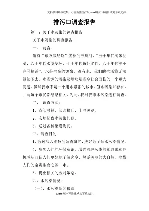排污口调查报告