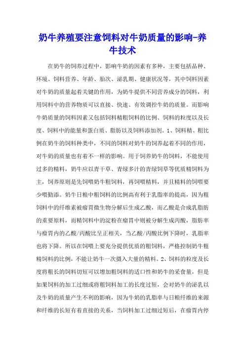 奶牛养殖要注意饲料对牛奶质量的影响 - 养牛技术