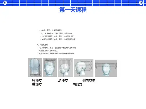 发型师训练裁剪教材