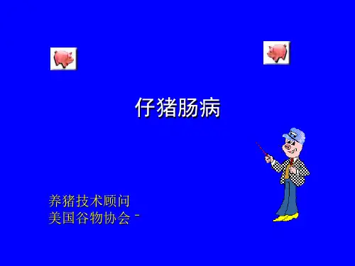 仔猪肠病-朱稳森课件