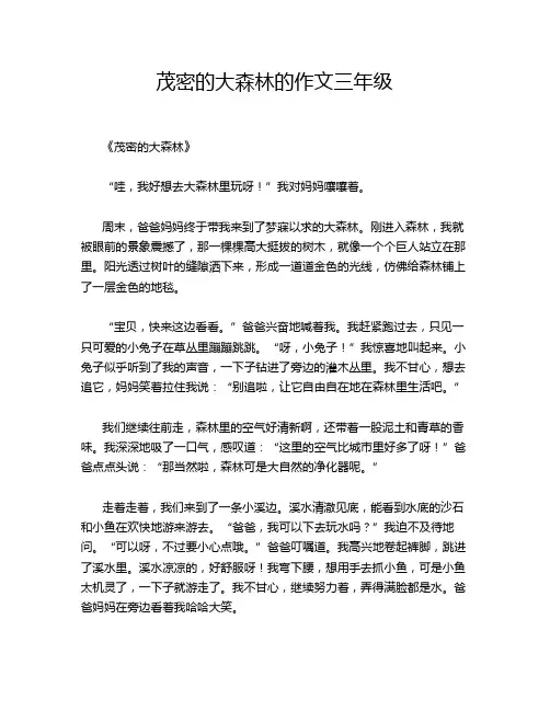 茂密的大森林的作文三年级