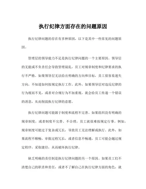 执行纪律方面存在的问题原因