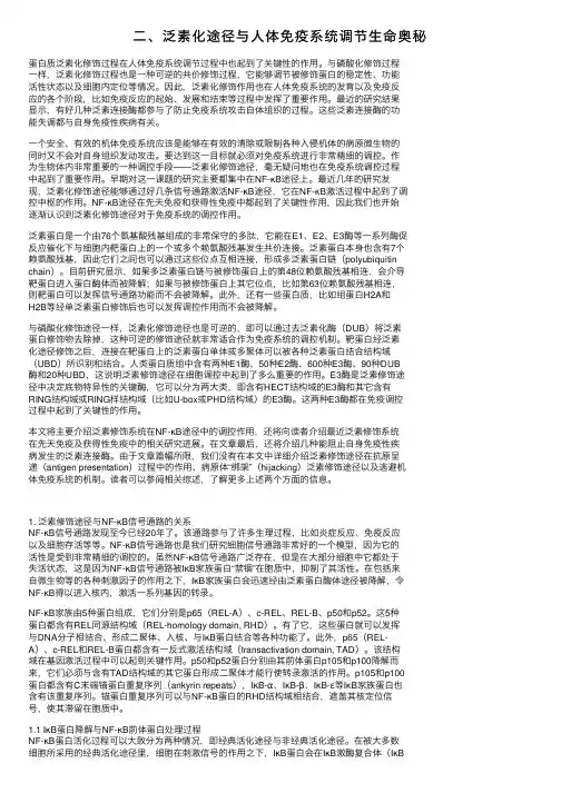 二、泛素化途径与人体免疫系统调节生命奥秘