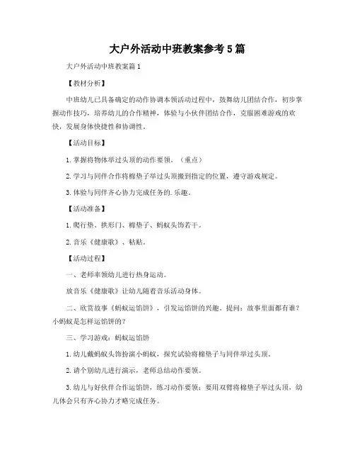 大户外活动中班教案参考5篇
