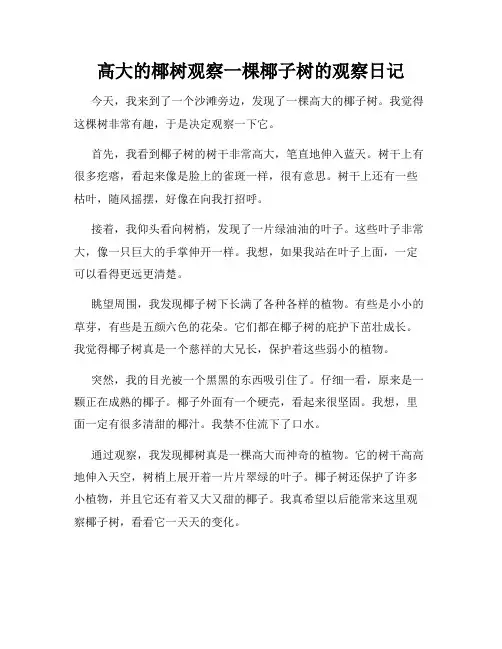 小学三年级作文高大的椰树观察一棵椰子树的观察日记