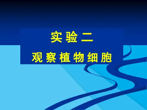 观察植物细胞PPT课件4 人教版优秀课件