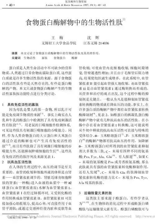 食物蛋白酶解物中的生物活性肽