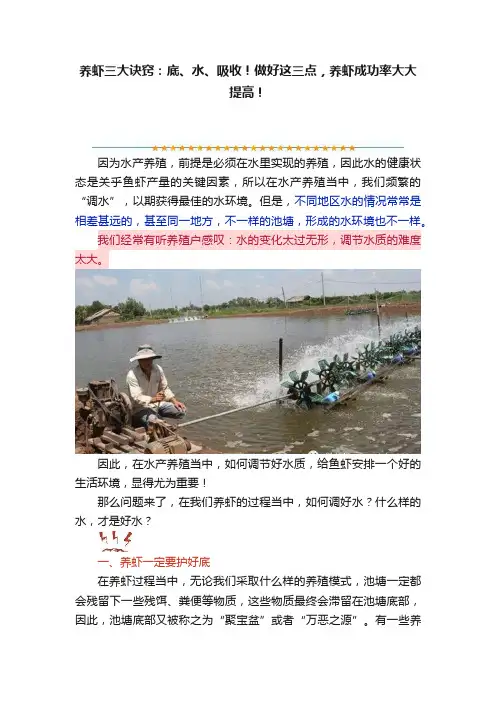 养虾三大诀窍：底、水、吸收！做好这三点，养虾成功率大大提高！