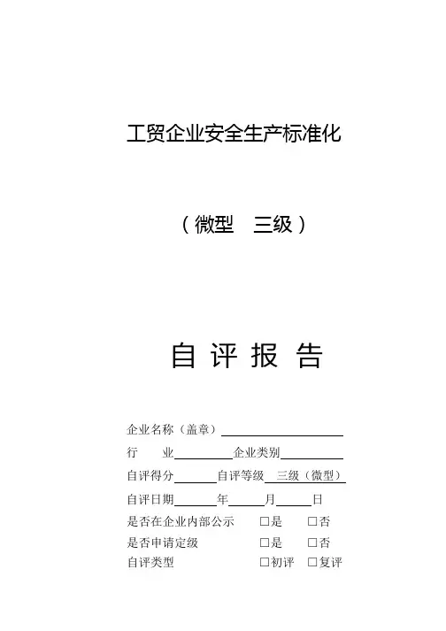 工贸微型企业安全生产标准化三级自评表