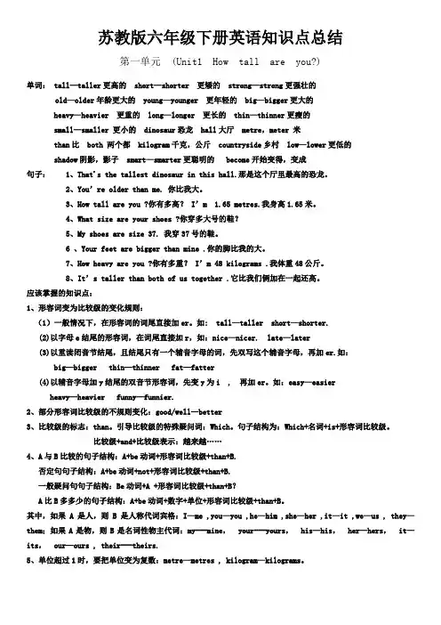 苏教版英语六年级下册英语知识点总结