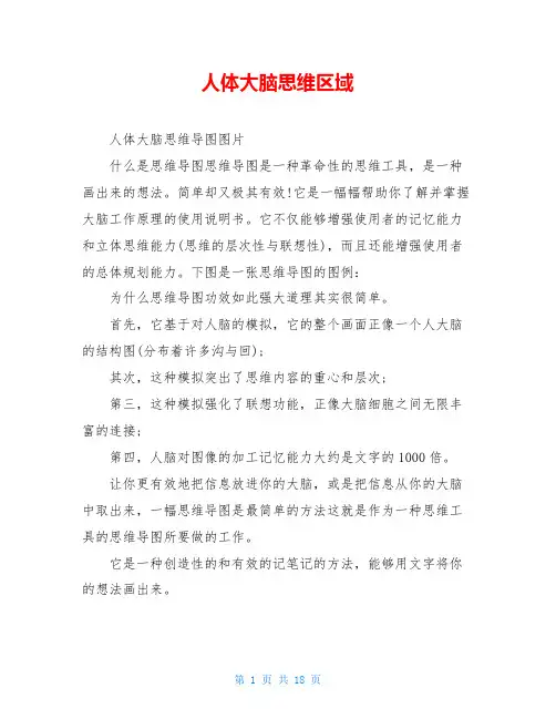 人体大脑思维区域