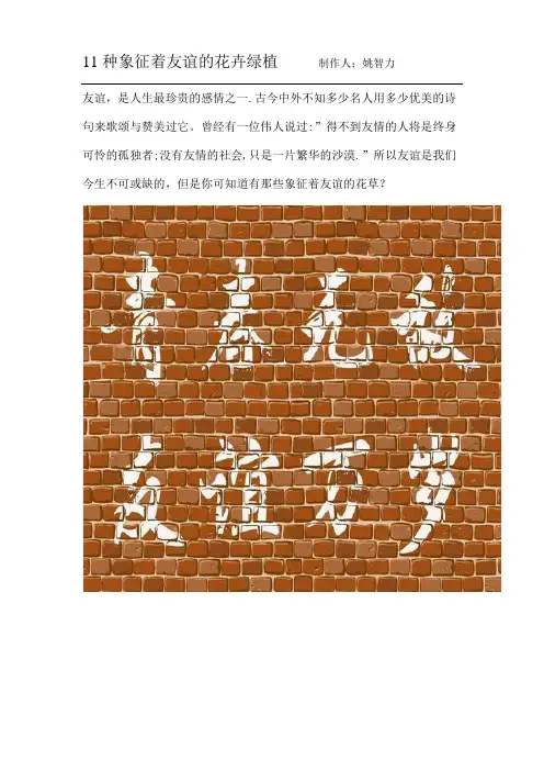 11种象征着友谊的花卉绿植