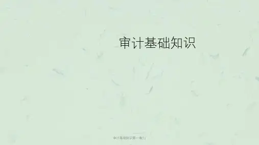 审计基础知识第一章(1)课件