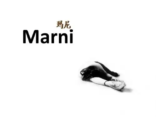 Marni品牌赏析