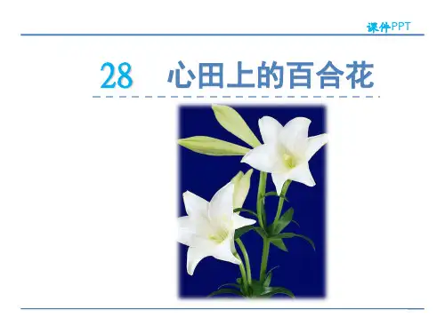 (赛课课件)西师大版五年级上册语文《心田上的百合花》(共30张PPT)