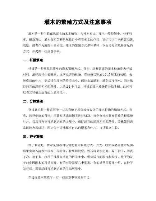 灌木的繁殖方式及注意事项