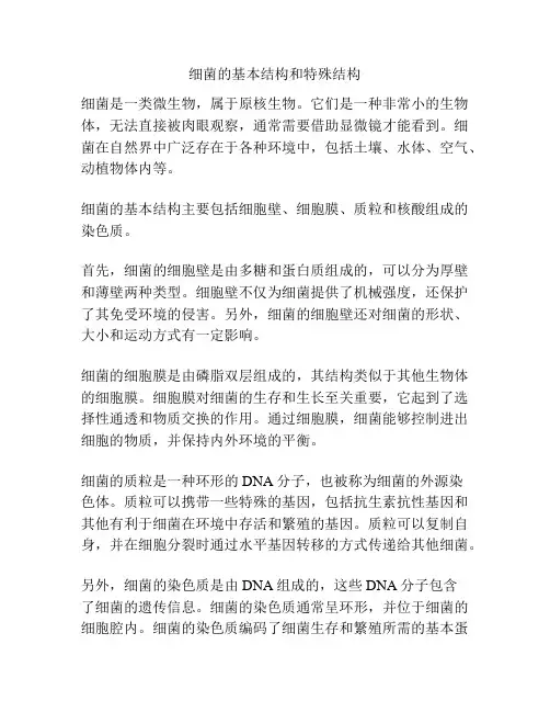 细菌的基本结构和特殊结构