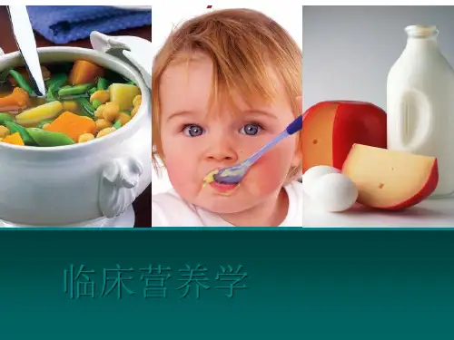 医院基本饮食