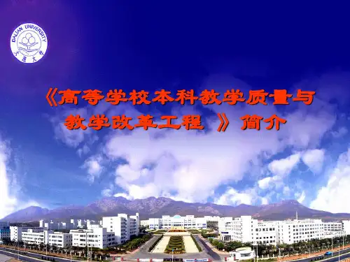 高等学校本科教学质量与教学改革工程.