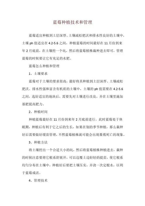 蓝莓种植技术和管理