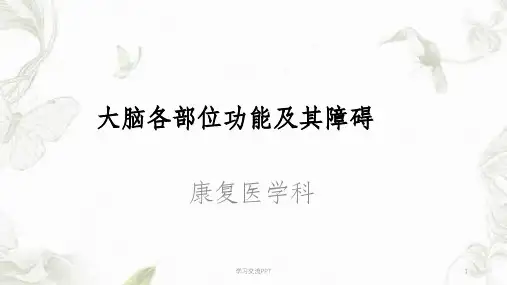 大脑各部位功能及障碍课件