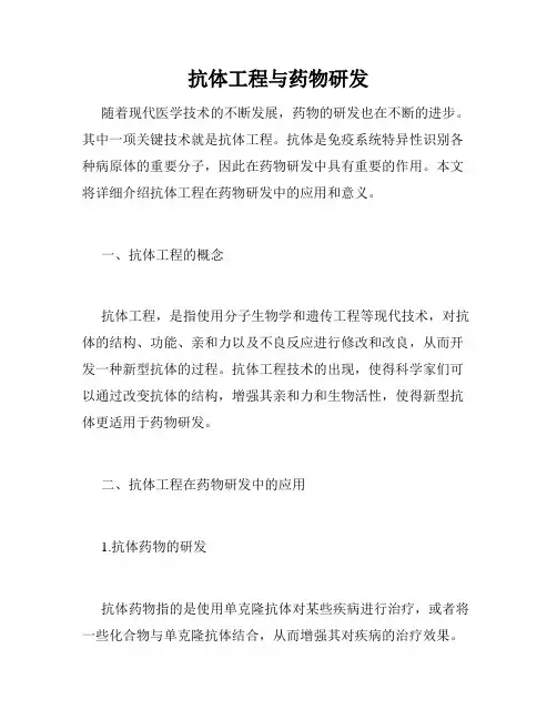 抗体工程与药物研发