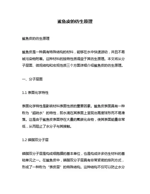 鲨鱼皮的仿生原理