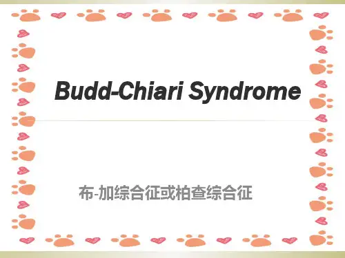 布加综合征超声ppt课件