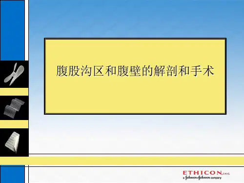 腹股沟区和腹壁的解剖和手术