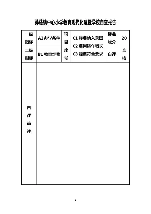 孙楼镇中心小学教育现代化建设学校自查报告定稿已填