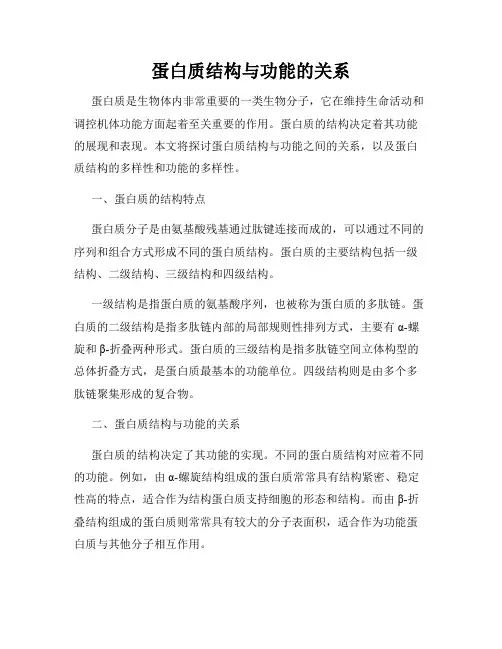 蛋白质结构与功能的关系
