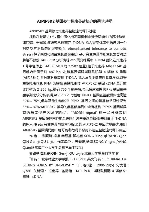 AtPIP5K2基因参与拟南芥盐胁迫的调节过程