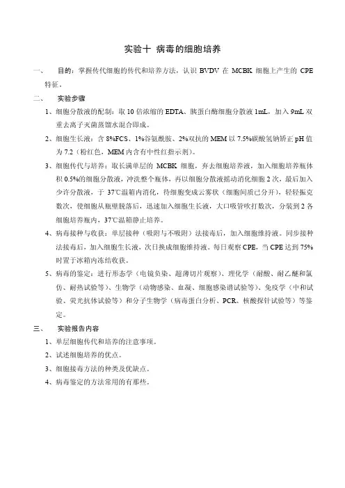 实验十病毒的细胞培养