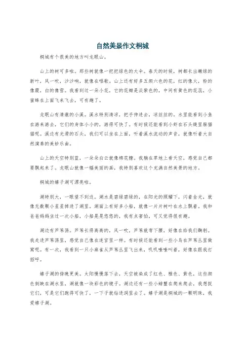 自然美景作文桐城