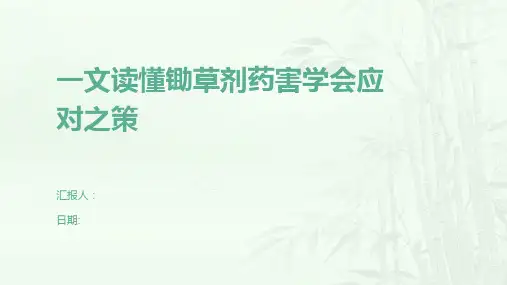 一文读懂锄草剂药害学会应对之策