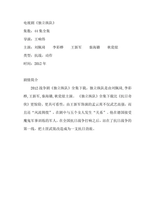 电视剧《独立纵队》剧情介绍