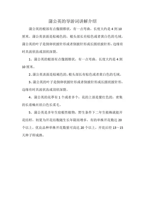 蒲公英的导游词讲解介绍