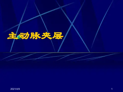 qia主动脉夹层